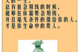 桦甸企业清欠服务